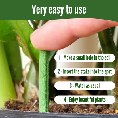 GrowBuddy - Plant stakes nutrition