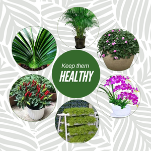 GrowBuddy - Plant stakes nutrition