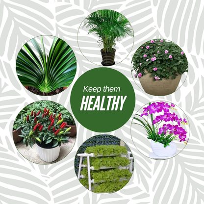 GrowBuddy - Plant stakes nutrition