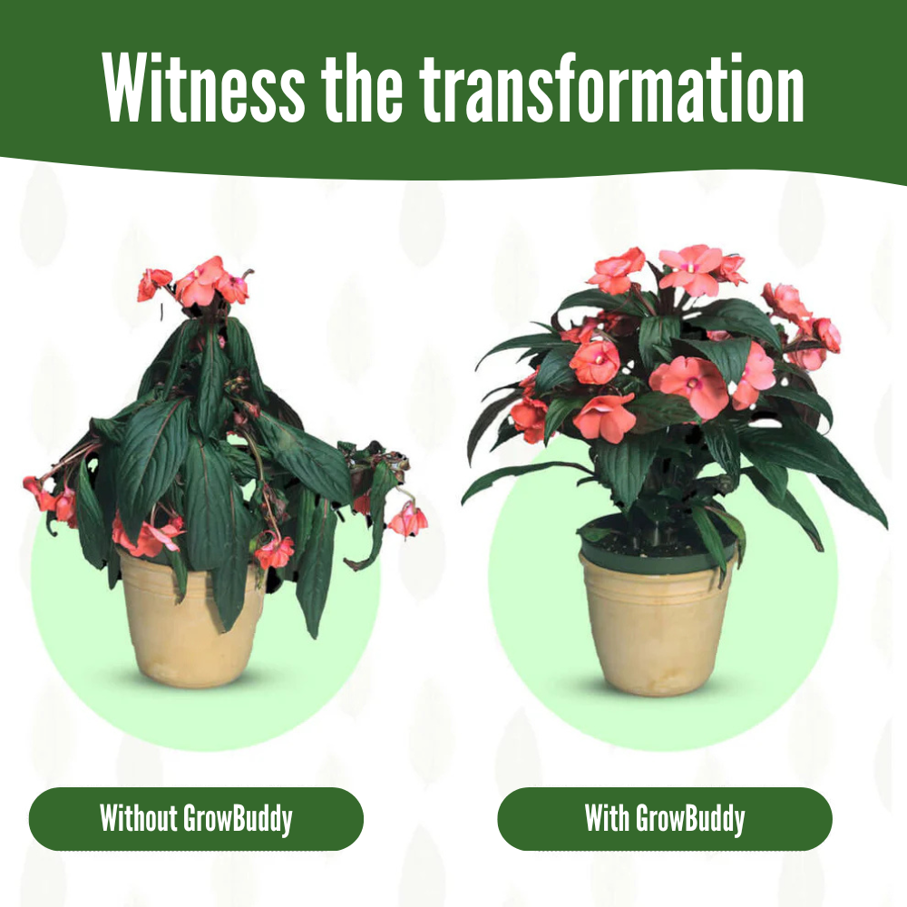 GrowBuddy - Plant stakes nutrition