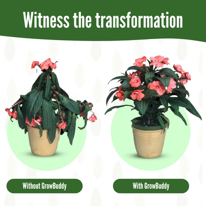 GrowBuddy - Plant stakes nutrition
