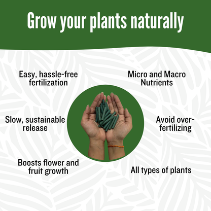 GrowBuddy - Plant stakes nutrition