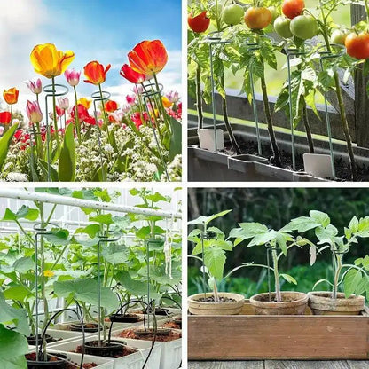 Estaca Suporte Tutor para Flores e Plantas VitaStalk